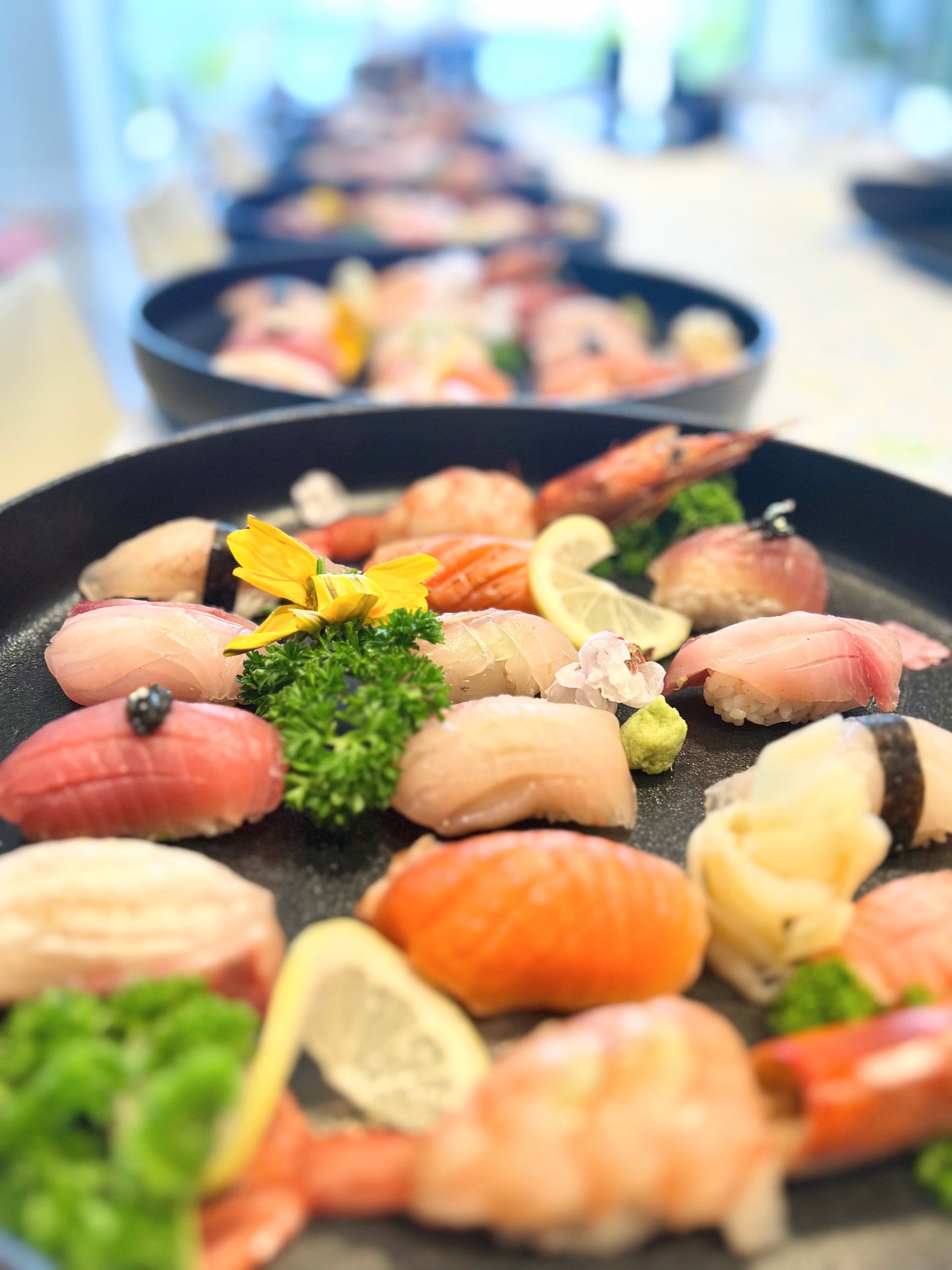 Premium Nigiri Sushi Platter