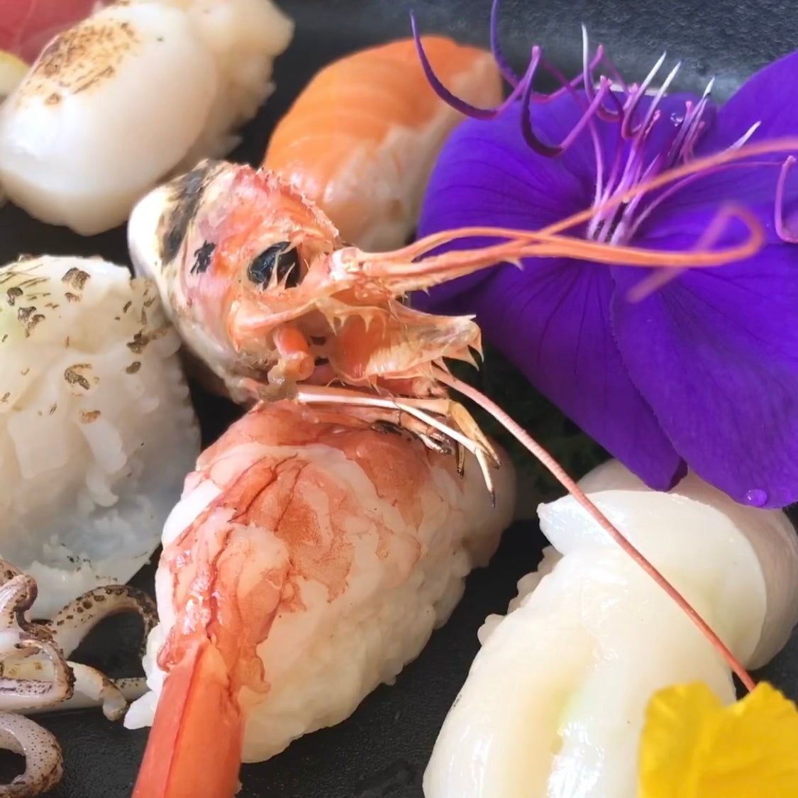 Premium Nigiri Sushi Platter